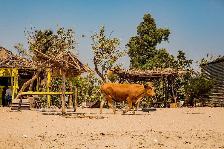 excursie zuid gambia 001