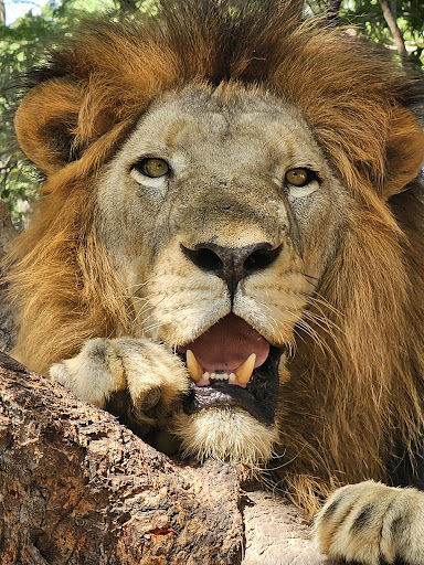 About 7 media thumbnail 1