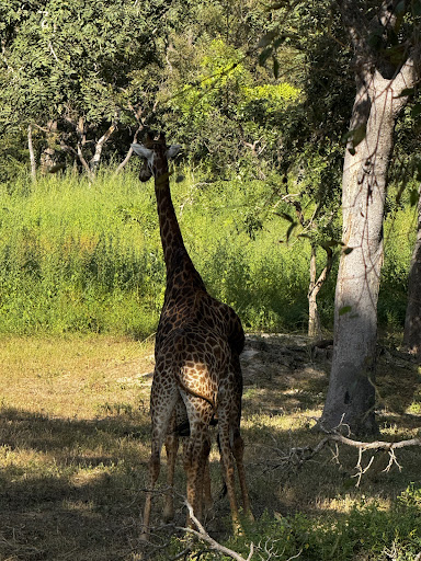 About 9 media thumbnail 3