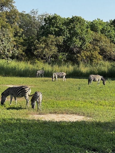 About 11 media thumbnail 5