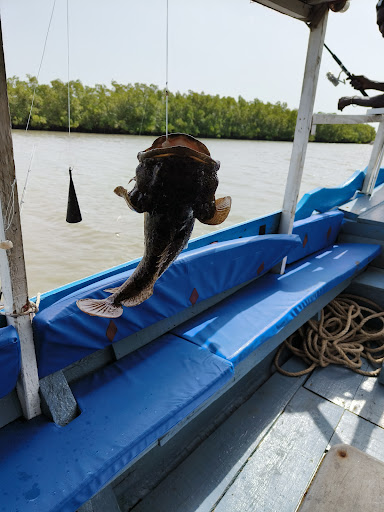 About 41 media thumbnail 0