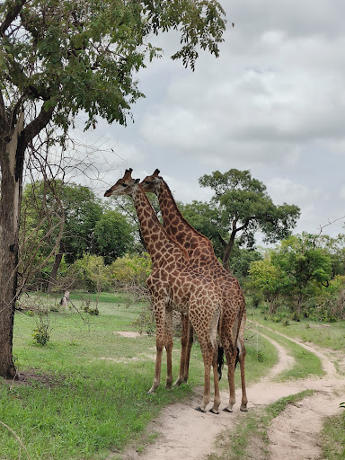 About 42 media thumbnail 1