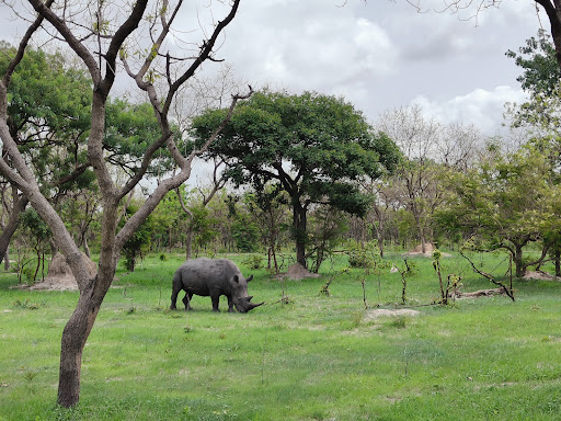 About 43 media thumbnail 2