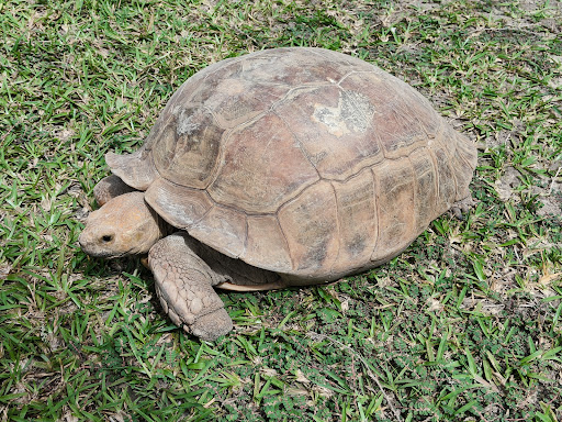 About 44 media thumbnail 3