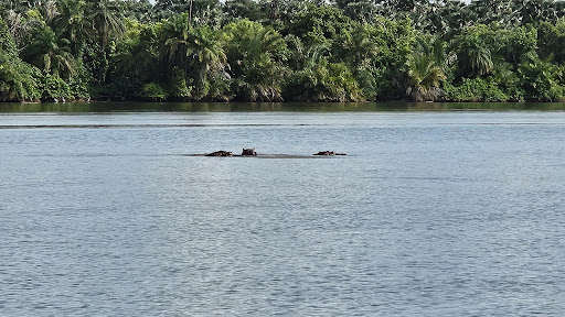 About 46 media thumbnail 5