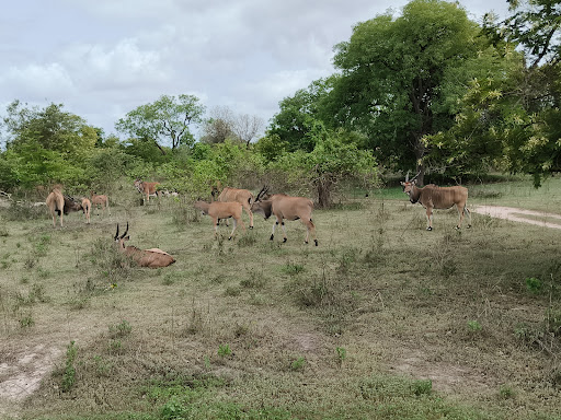 About 47 media thumbnail 6