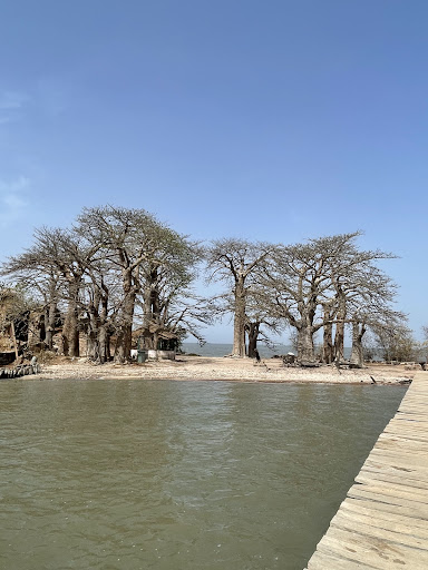 About 55 media thumbnail 0