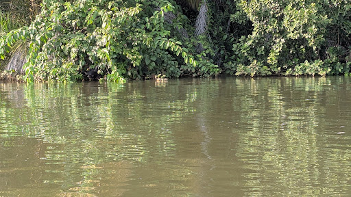 About 69 media thumbnail 0