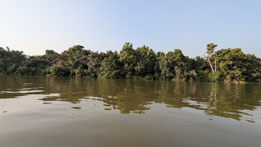 About 71 media thumbnail 2